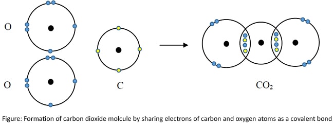 Chemical Bonds, Primary And Secondary Bonds With Properties