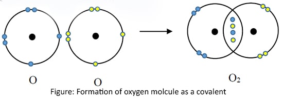 Chemical Bonds, Primary and Secondary Bonds with Properties