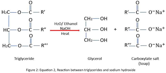 Industrial Soap Production and Manufacturing Process | Saponification