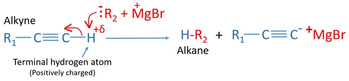 Alkyne and Grignard Reagent Reaction