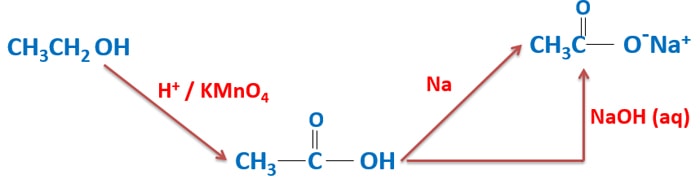 Preparation Of Sodium Acetate Ch3coona Sodium Ethanoate