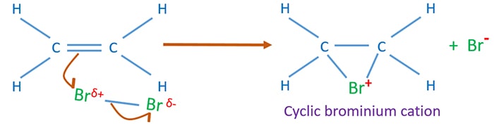 Alkene And Bromine Reaction Ethene Propene Bromine